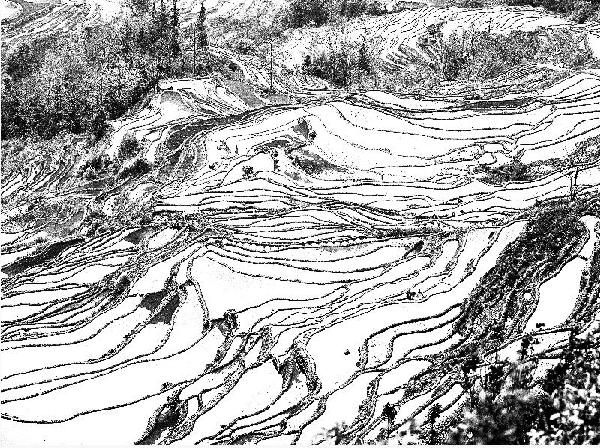 600x450