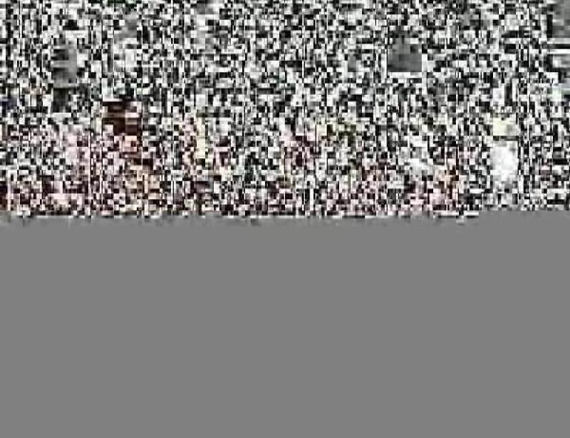 600x314